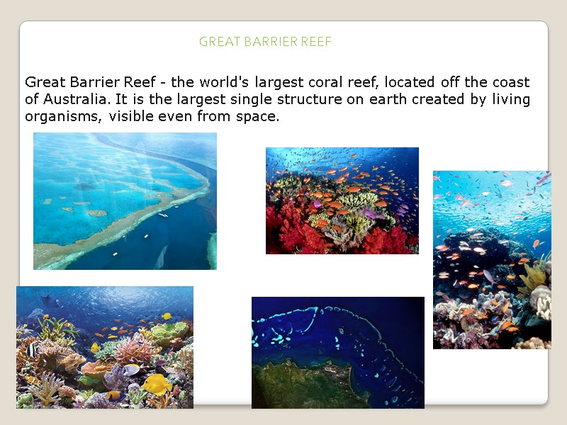 Great Barrier Reef - the world's largest coral reef, located off the coast of